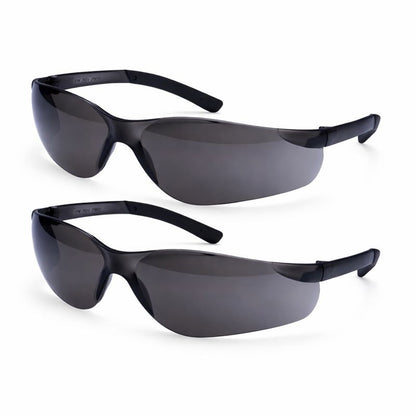 Schutzbrille Panorama Sicht im 2er Pack